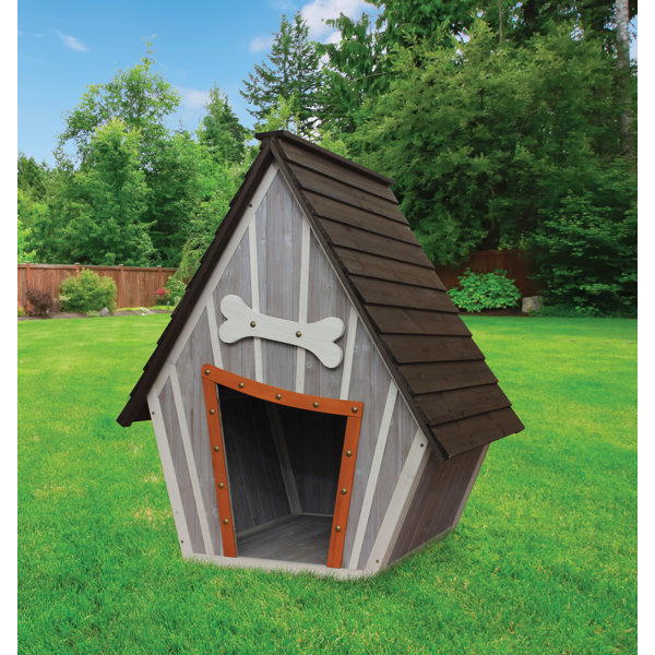 Innovation Pet Houses and Paws Whimsical Dog House & Reviews Wayfair